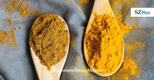 Gut gewürzt – zwölf Currypulver im Test