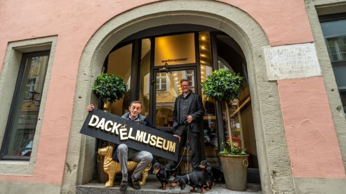 Dackelmuseum zieht um nach Regensburg: "Viel Glück gehabt"