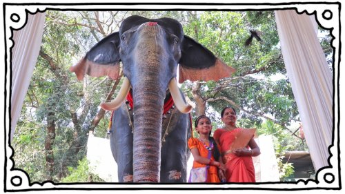 Indischer Tempel führt Roboter-Elefant ein