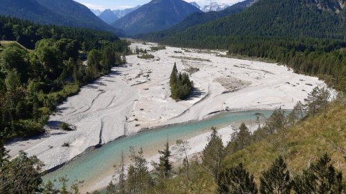 Bayern: Damit Flussregenpfeifer und Tamarisken eine Zukunft haben