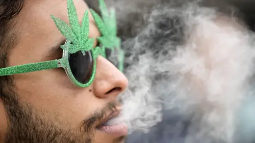 Zwischen „Freibrief“ und Schikane: ein Jahr Cannabis-Gesetz