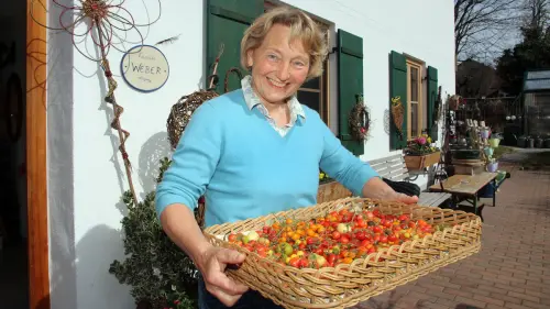 „Für Anfänger empfehle ich Buschtomaten“