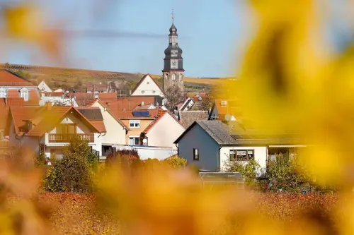 Riesling und Realpolitik – Merz lädt Trump in die Pfalz ein