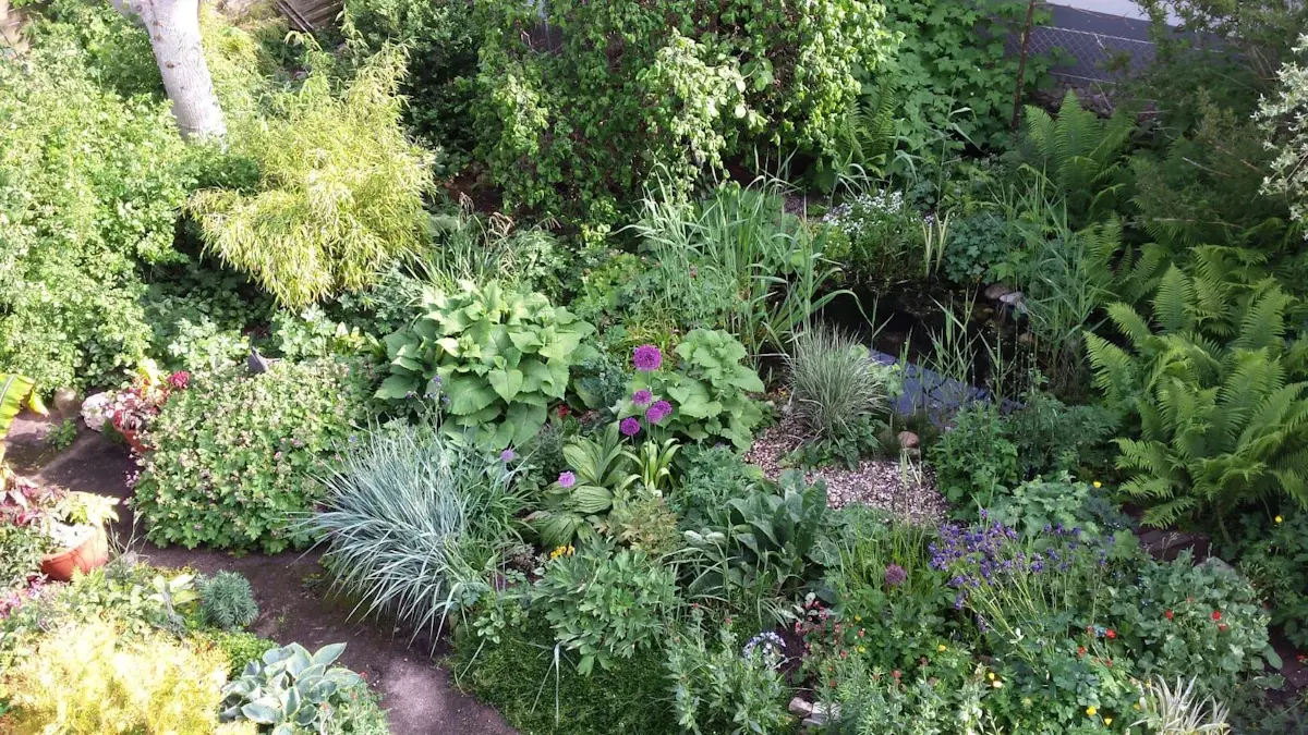 Wie der Garten ein Naturparadies wird