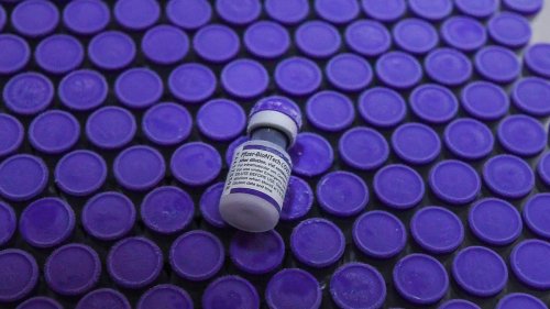 Corona-Pandemie: 83 Millionen Impfdosen, verfallen und vernichtet