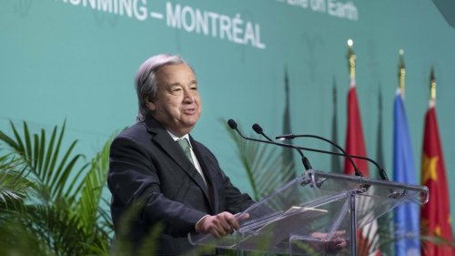 Artenschutz: Weltnaturkonferenz in Montréal startet mit Rückschlag