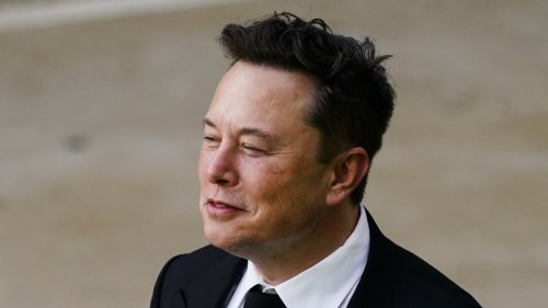 Elon Musk: Ist er geeignet, Twitter zu führen?