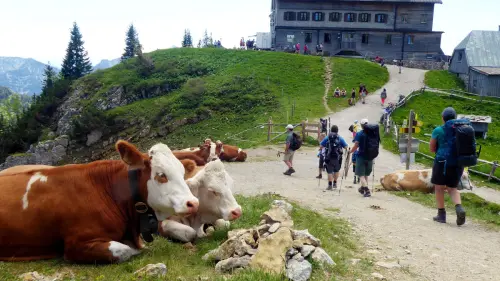 Rotwandhaus wieder zu - Pächter gekündigt