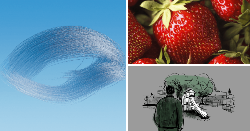 SZ Weekender: Wie Vögel fliegen und Erdbeeren am besten schmecken