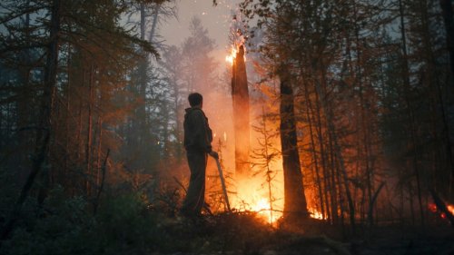 Klimawandel:Waldbrände könnten der Ozonschicht schaden