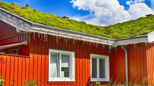 Haus und Garten: Clevere Lösungen für mehr Nachhaltigkeit