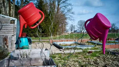 Warten mit dem großen Aufräumen