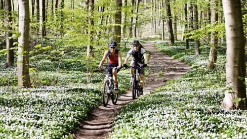 Fahrrad fit für den Frühling machen: Was zu beachten ist