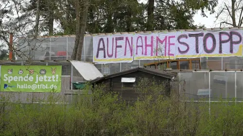Fürstenfeldbruck spricht sich für gemeinsames Tierheim aus