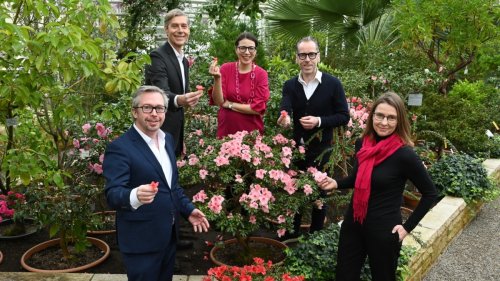 München bekommt Flower Power Festival - die Pläne