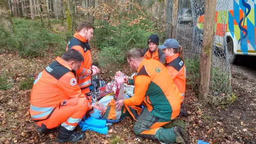 Schnelle Hilfe tief im Wald