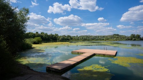 Forschung zur Verbreitung von Blaualgen in bayerischen Seen