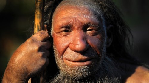 Wie die Neandertaler kochten