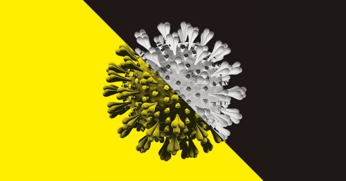 Magazine - Corona & Gesundheit 