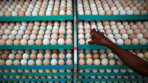Globalisierung: Die lange Reise der Eier von Indien nach Singapur