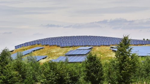 Bayern: Naturschützer und Grüne streiten über Solarparks