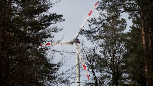 Chemiedreieck: LBV fordert Dialog über Windräder
