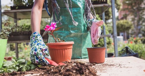 »Blumenerde vom Vorjahr? Da wäre ich skeptisch.«