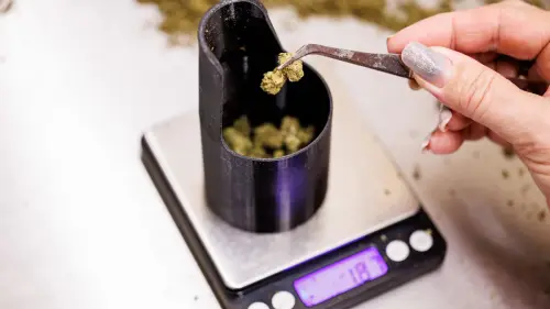 Behörden bremsen Cannabis-Clubs aus – „die Dealer freut’s“