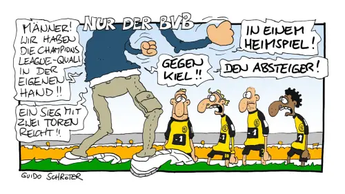 Nur der BVB