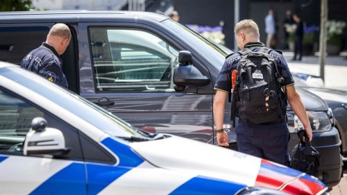 Überfall auf Messe Tefaf in Maastricht: Gangster im Sakko