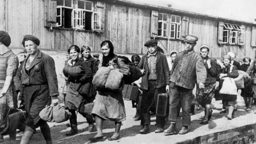 Stigma und Schweigen - Analyse über das Leben sowjetischer Zwangsarbeiter