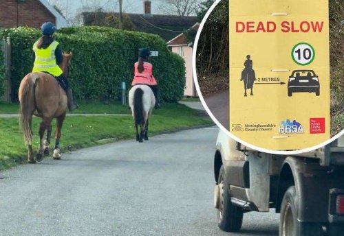 Horse rider slams council for saying signs could be ‘confusing’
