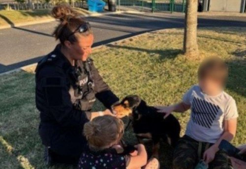 Young dog attack victim overcomes fear of animals after special police visit