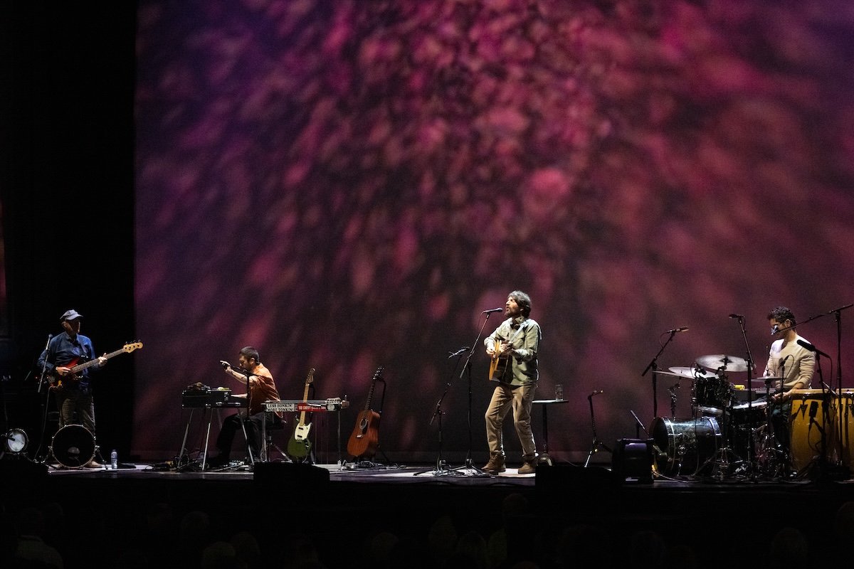 Ray LaMontagne collapses during concert, forcing show to end