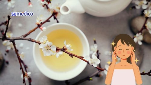 El té con antioxidantes para verte y sentirte más joven ¿Cómo tomarlo?