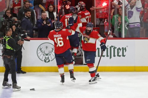 Panthers have struck back, but can they carry the momentum further?