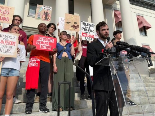 Ron DeSantis, guns and common sense | Letters to the editor