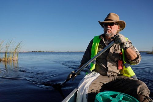 Everglades therapy: Veterans combat PTSD by wrangling invasive Burmese pythons