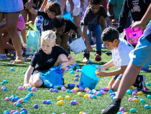 Easter 2024: Find egg hunts, photos (and breakfast and lunch) with the Bunny in South Florida
