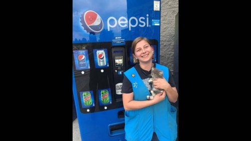 Kitten freed from Walmart soda machine — and finds a home with Tennessee employee