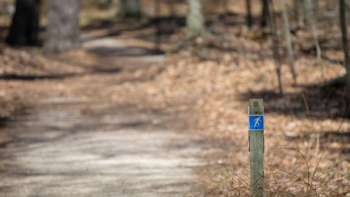 Bloodied woman screams to scare off robbers who attacked her on trail, Georgia cops say
