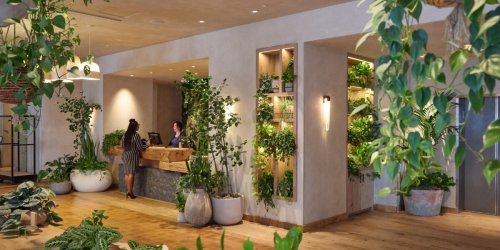 This Is How Hotels Make Their Lobbies Smell So Good (and How to Do It at Home)