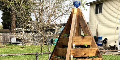 How to Build the Tesla of Raised Bed Planters, The Strawbelisk