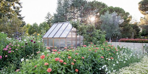 These Emerging Garden Trends Will Dominate 2024