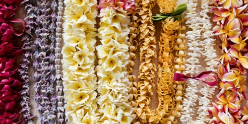 You’ve Never Seen Hawaiian Leis as Stunning as These