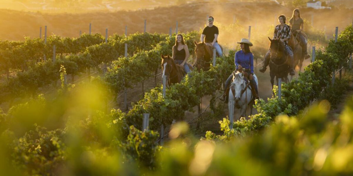 5 Wine Growing Regions Every Oenophile Should Visit