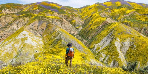 This Is What You Need to Take with You When Checking out Spring’s Super Blooms