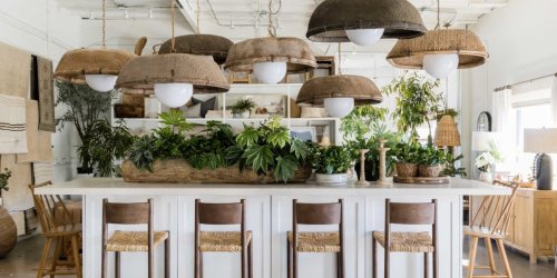 DIY a Houseplant Centerpiece No One Will Be Able to Stop Looking At