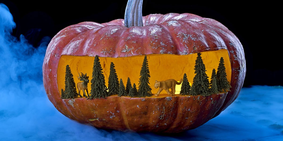26 Fun Halloween Decorating Ideas