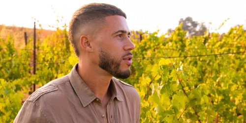 Meet the Winemaker Working to Put Fine Wine on Your Table—Every Night